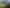 Waikato - Address withheld
