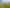 37 Branksome Place, Aokautere