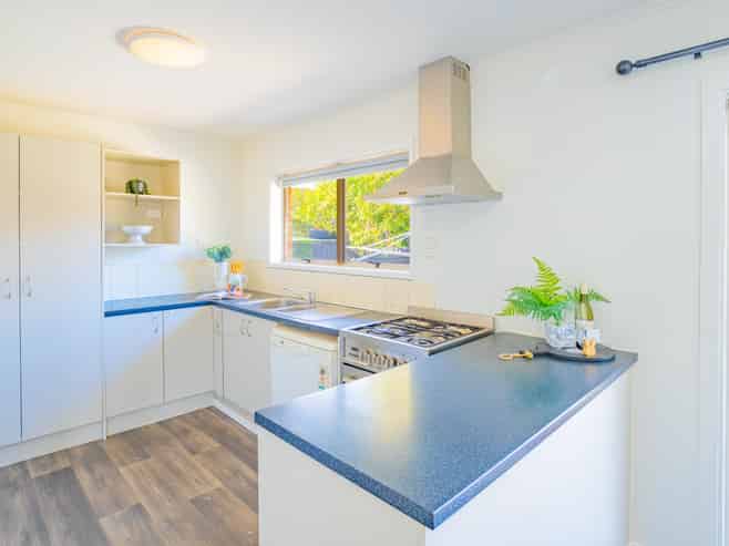 58B Nixon Street, Hamilton East