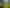 895 Tauwhare Road, Tauwhare