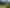 895 Tauwhare Road, Tauwhare
