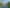 895 Tauwhare Road, Tauwhare
