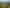 895 Tauwhare Road, Tauwhare