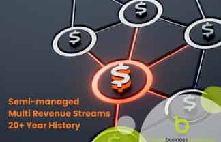 Diversified Revenue Streams, Long Established, Go-To Service Business