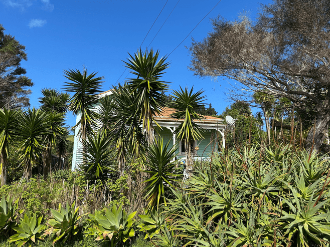 33 Donnellys Station Road, Kaipara Flats