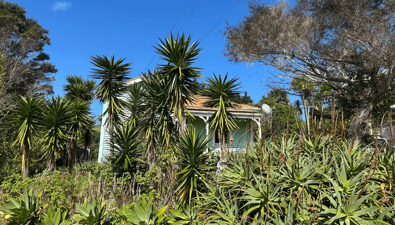 33 Donnellys Station Road, Kaipara Flats