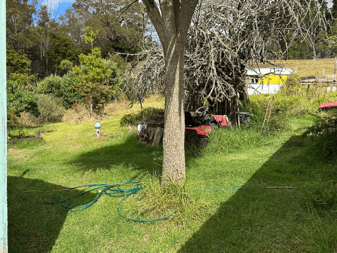 33 Donnellys Station Road, Kaipara Flats