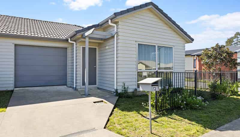 12 Totara Meadows Court, Wiri