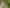 607 Bruntwood Road, Tamahere