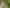 607 Bruntwood Road, Tamahere