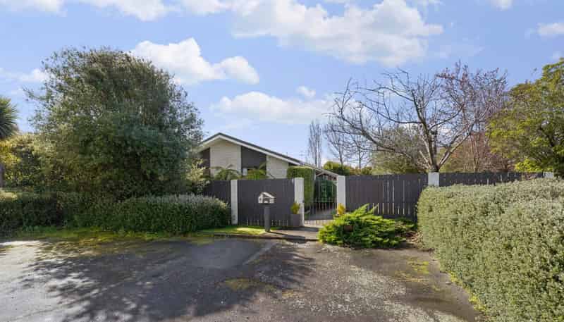 8 Michigan Place, Burwood