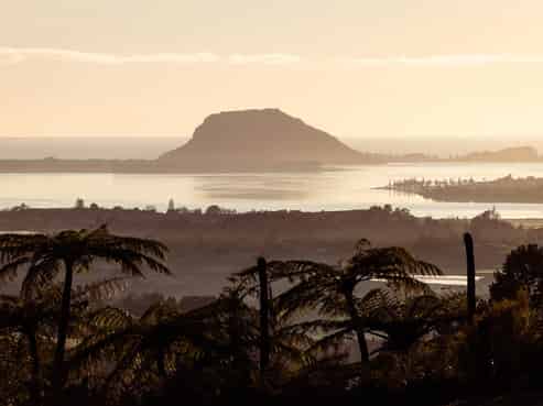 8 Pheasant Lane, Te Puna