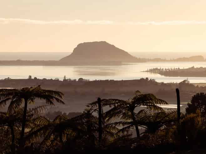 8 Pheasant Lane, Te Puna
