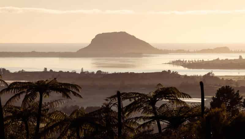 8 Pheasant Lane, Te Puna