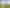 186 Harrison Hill Road, Aokautere