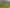 186 Harrison Hill Road, Aokautere
