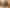 186 Harrison Hill Road, Aokautere