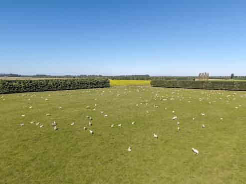 1735 Wards Road, Greendale