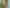 Manawatu / Whanganui - Address withheld