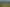 Northland - Address withheld