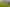 26 Ivy Lane, Ohau