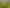 26 Ivy Lane, Ohau