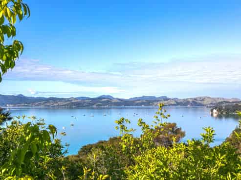 624 Wyuna Bay Road, Coromandel