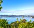 624 Wyuna Bay Road, Coromandel, Thames-Coromandel, Coromandel