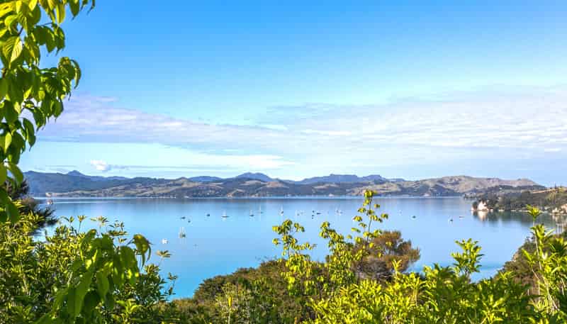 624 Wyuna Bay Road, Coromandel