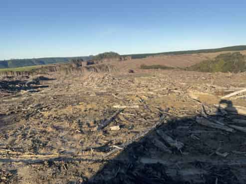  Taieri Beach Road, TAIERI MOUTH