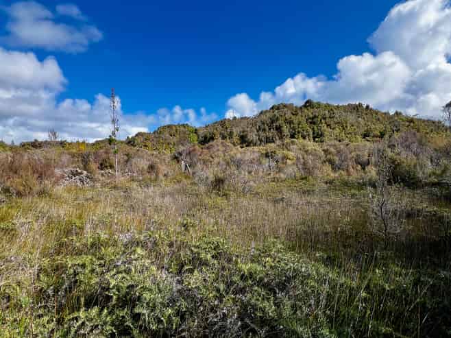  Whiskey Creek, State Highway 6, Charleston