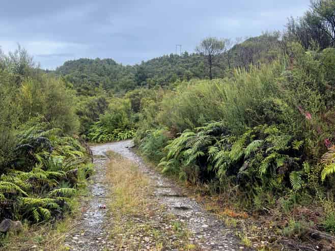  Whiskey Creek, State Highway 6, Charleston
