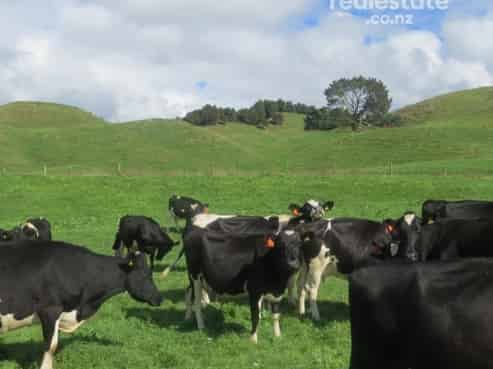 70 Ford Road, Mangakino