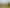 Hawkes Bay - Address withheld
