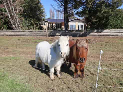 36 Mill Road North, Mill Road