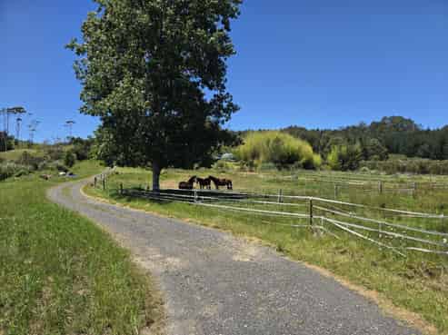 540 SH25  Te Rerenga-Kuaotunu Hwy, Otapaurau