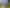 Auckland - Address withheld
