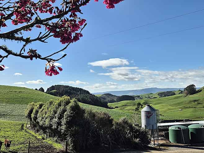 66 Pahihi Road, Piarere