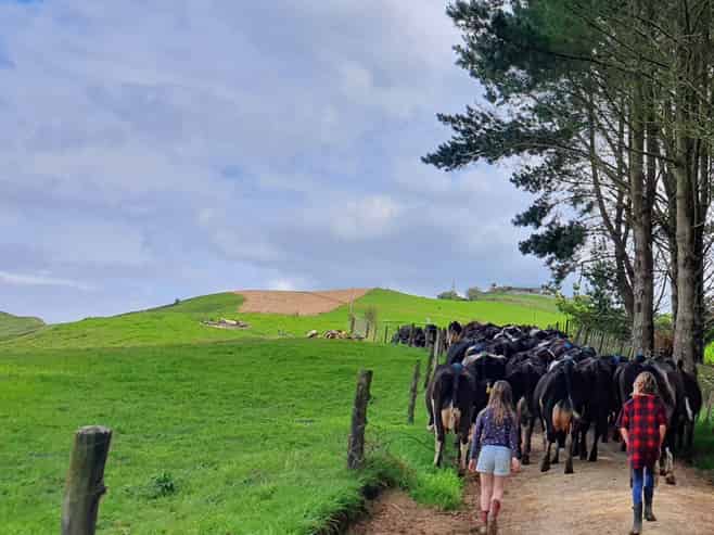 66 Pahihi Road, Piarere