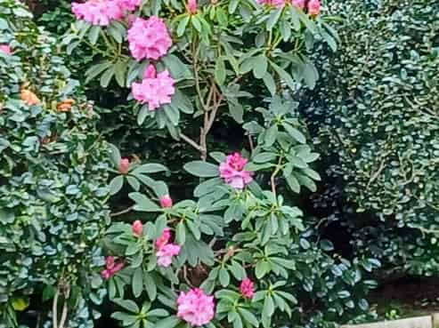 47 Railway Terrace, Ohau