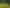 2111 Kahutara Road, Kahutara