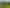 2111 Kahutara Road, Kahutara