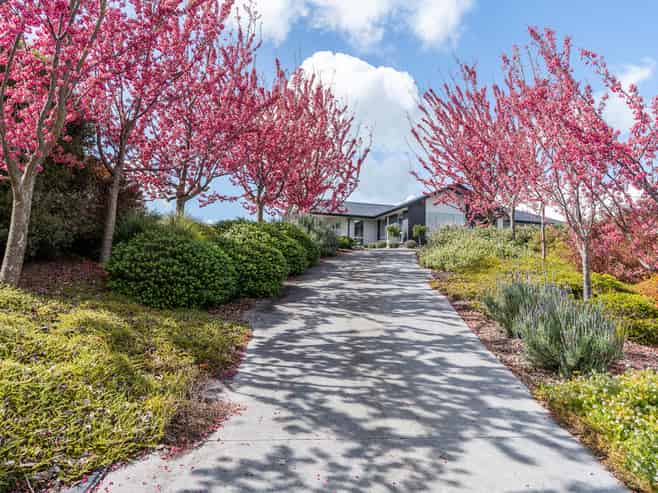 29 Charles Edwards Street, Ohaupo