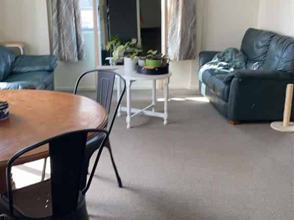 23C Greensboro Street, Hamilton East