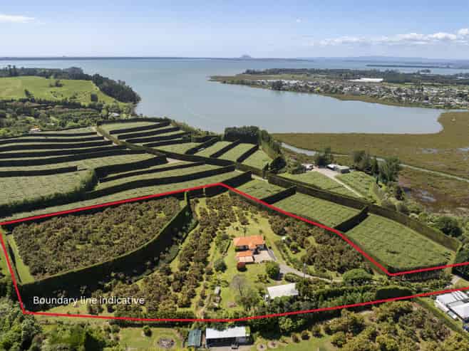11b Stokes Road, Katikati