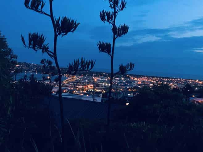 47 Russell Street, Dunedin Central