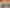 1032 Tauwhare Road, Tauwhare