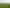 1032 Tauwhare Road, Tauwhare