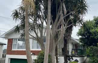9 Lochinver Road, Papatoetoe