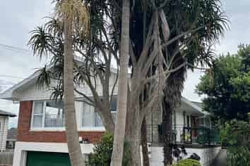 9 Lochinver Road, Papatoetoe